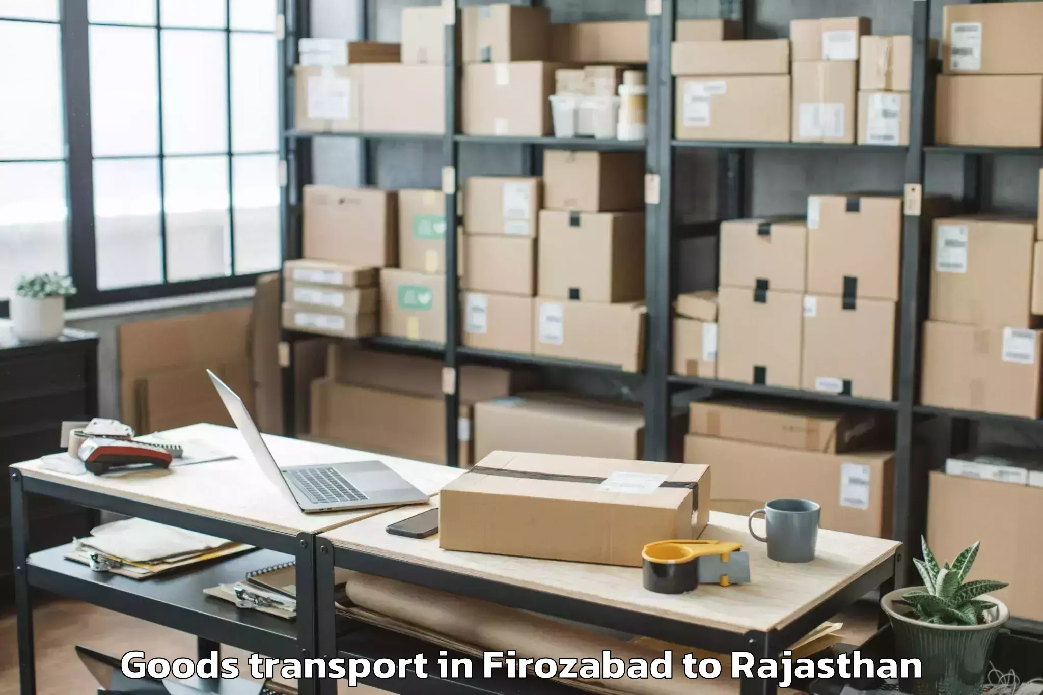 Leading Firozabad to Borkhera Goods Transport Provider